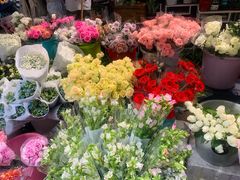 -循礼门鲜花花市(武汉循礼门店)