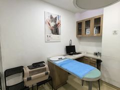 -艾贝尔宠物医院·24H转诊中心·肿瘤猫专科(江宁双龙店)