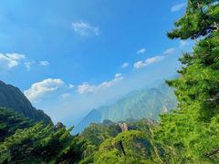 -灵山酒酿健忠(黄山汤口寨西非遗店)