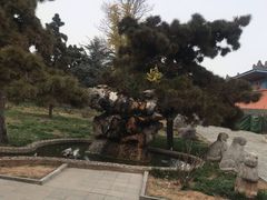 -洛阳古墓博物馆