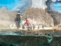 -成都浩海立方海洋公园