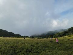 -白草畔自然风景区