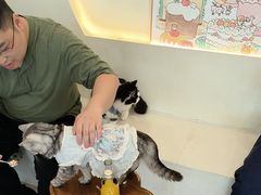 -共舞时光猫咖·狗咖(新街口店)