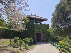 -原山国家森林公园