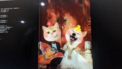 -北遇映画PHOTO GRAPHY STUDIO