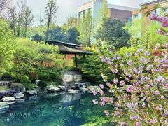 -逸廊大堂吧-下午茶·简餐-千岛湖自由洲际殿