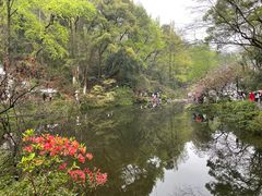 -岳麓山风景名胜区