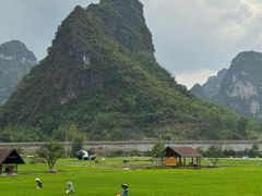 -明仕田园