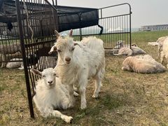 -呼和诺尔旅游景区