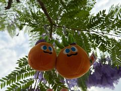 -成都南湖公园