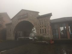 -千岛湖石林