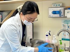 -美联众合动物医院·24h京西诊疗中心