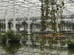 -上海鲜花港