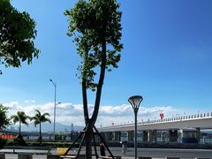 -海堤纪念公园