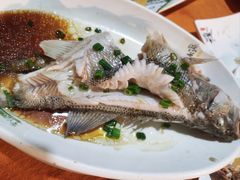 清蒸鲈鱼-裕华(南华东路店)