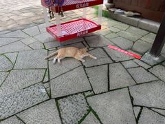 -苏州太湖国家湿地公园