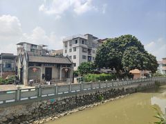 -长洲岛