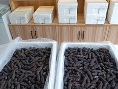 -宫品海参专卖店(静安大宁店)