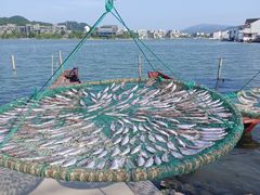 -东钱湖旅游度假区