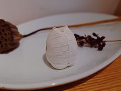 -猫里有甜