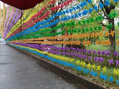 -上海都市菜园