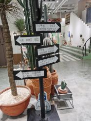 -好看加白色房子