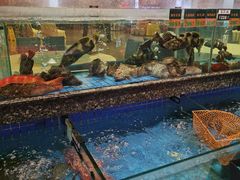 -聚福宝合苑食府(南头镇店)