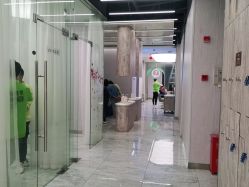 -魔型社