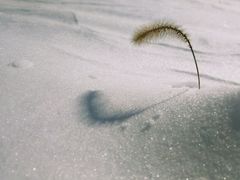 -长春莲花山滑雪场