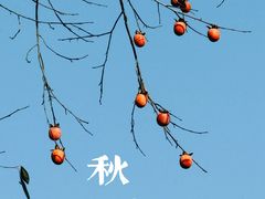 -丹山赤水风景名胜区