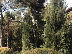 -东方华地城湿地温泉度假区
