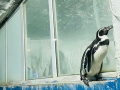 -太平洋海底世界