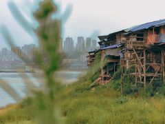 -菜园坝水果市场