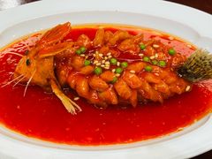-丁老爷子苏香圆
