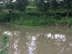 -洨河生态公园