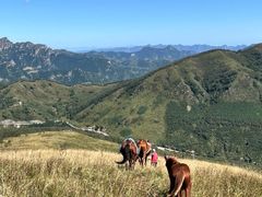 -灵山