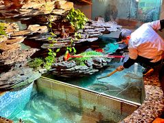 -山水茶艺馆·点心粤菜·30年老字号