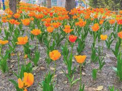 -祥源·阜阳生态乐园