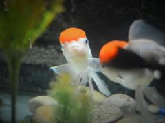 -苏州海洋馆