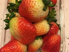 -新罗免税店(首尔总店)