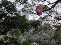 -江心屿景区