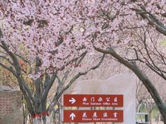 -石家庄市植物园