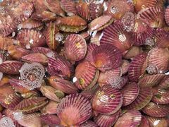 -和源祥·日照菜扛把子(万平口一店)