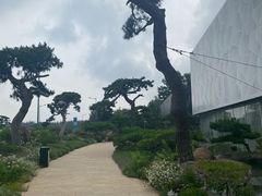 -罗红摄影艺术馆