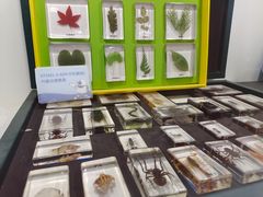 -斯坦星球青少儿编程机器人科学思维专注力科创竞赛规划(兰岛学习中心)