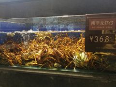 -徐记海鲜(陕西历史博物馆|明德门店)