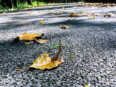 -山王坪喀斯特国家生态公园