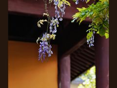 -龙华寺