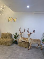 -雅尼·亚米儿童摄影美学馆(汉阳店)