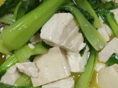-鲍氏金勺子(恒大店)